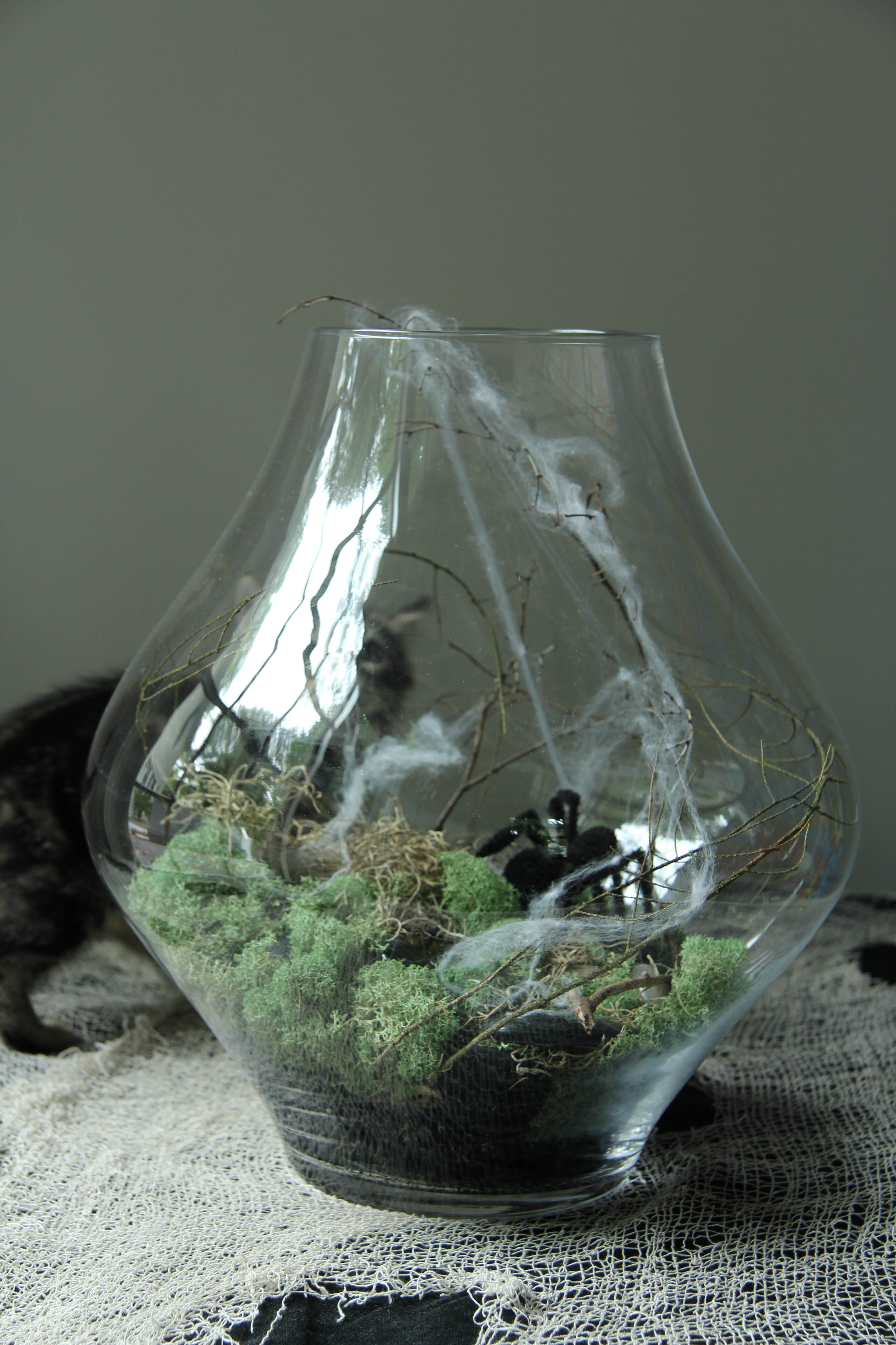 Create this DIY Spooky Terrarium | Ridgely's Radar Create this easy to assemble DIY spooky terrarium with your kids or on your own. it is super fun to make and even more fun to enjoy over the season!