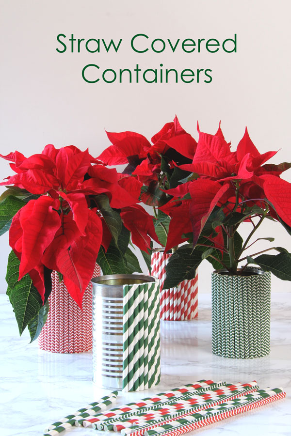 Using tin cans and straws, create unique and fun straw covered containers. Makes a perfect gift with a potted poinsettia!