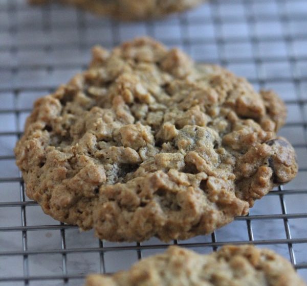 Gluten Free Oatmeal Chocolate Chip Cookies | Ridgely's Radar