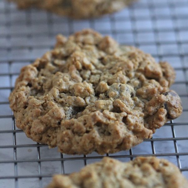 Gluten Free Oatmeal Chocolate Chip Cookies | Ridgely's Radar
