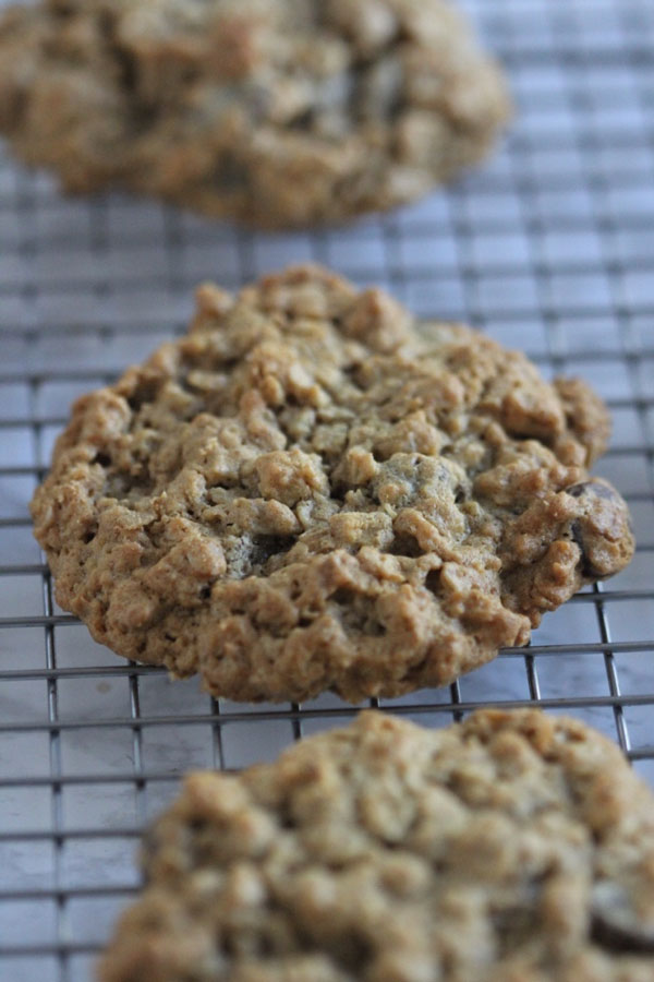 Gluten Free Oatmeal Chocolate Chip Cookies | Ridgely's Radar