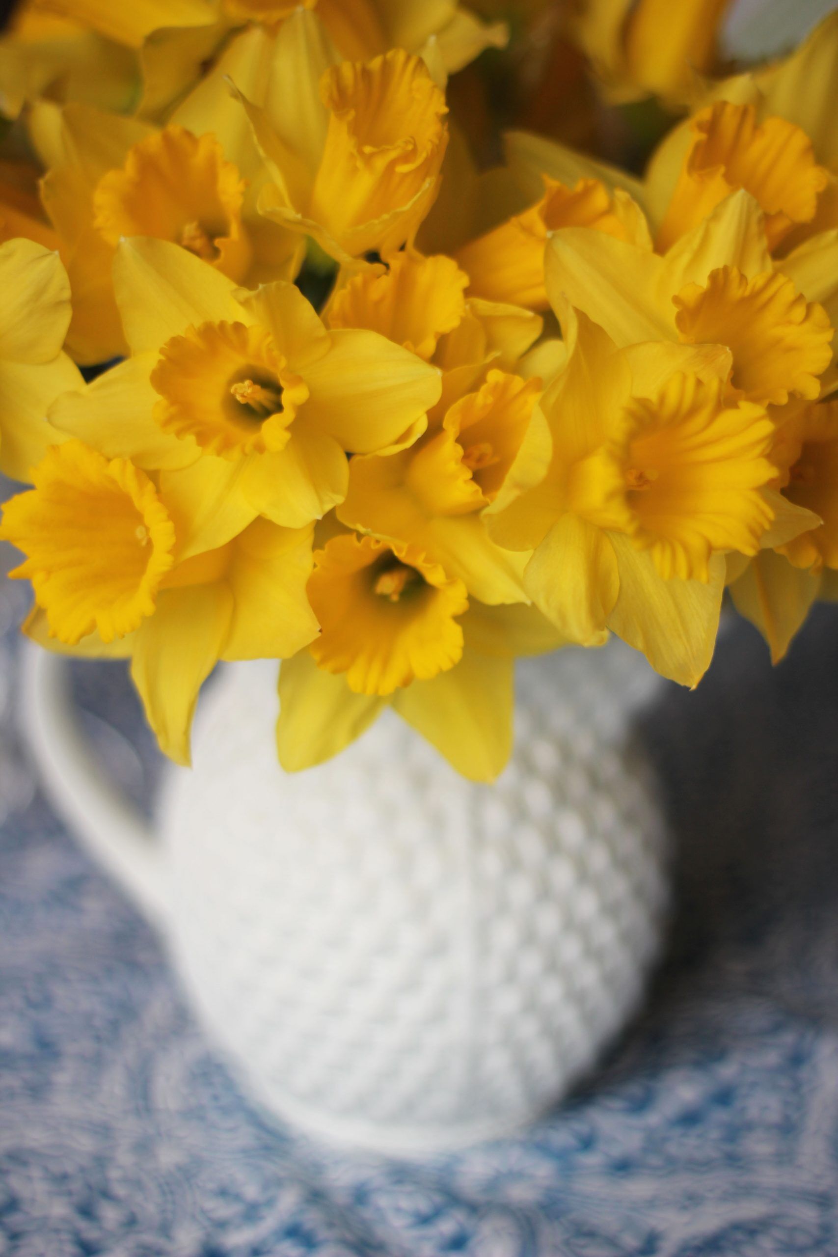 Yellow daffodils in a white vase brighten up the dinner table