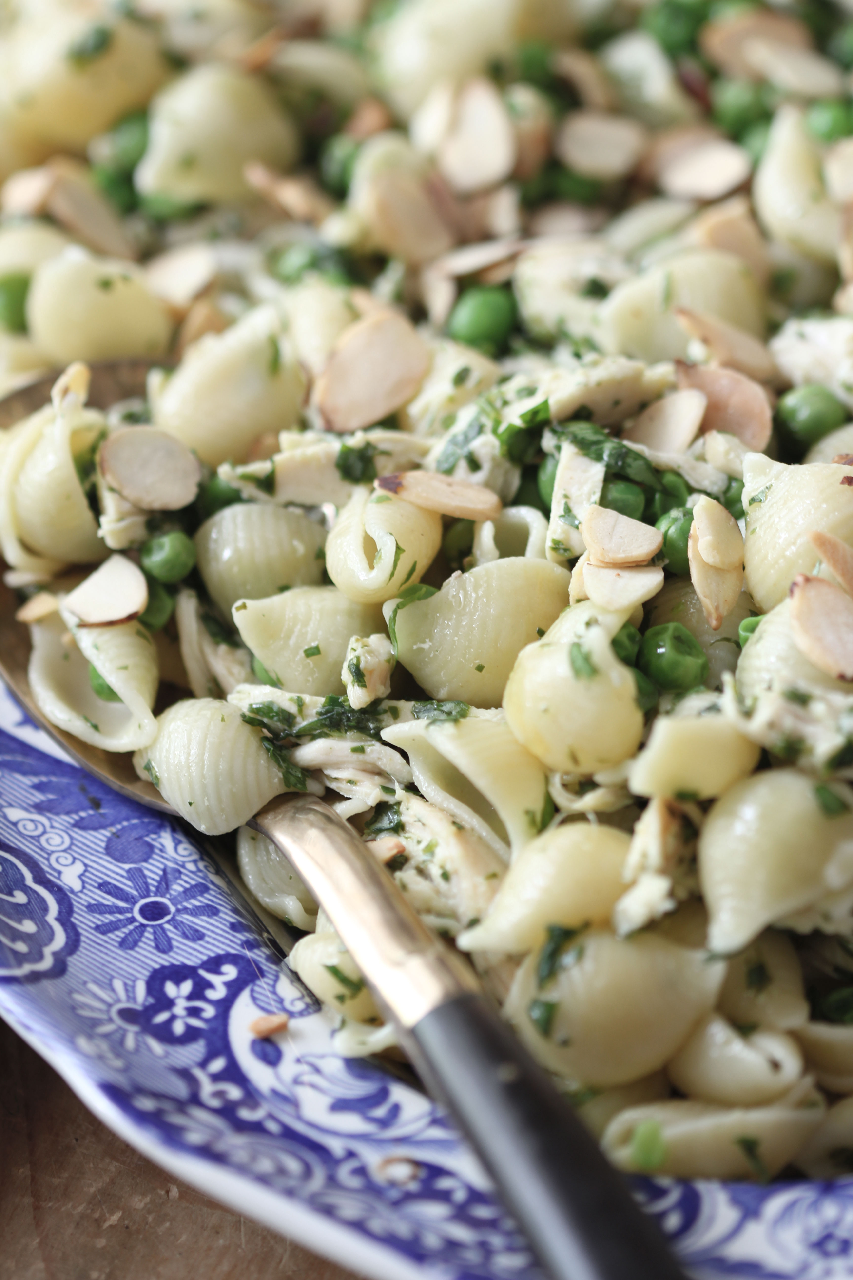 Ridgely Brode beats the heat with this yummy room temperature pasta with chicken, peas and a lemon dressing on her blog, Ridgely's Radar.