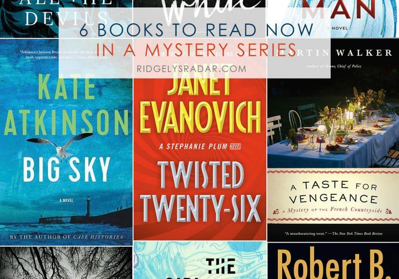 Want to visit with some of your favorite characters in a mystery or detective series? Here are 6 new books (or new to me!) to get lost in!