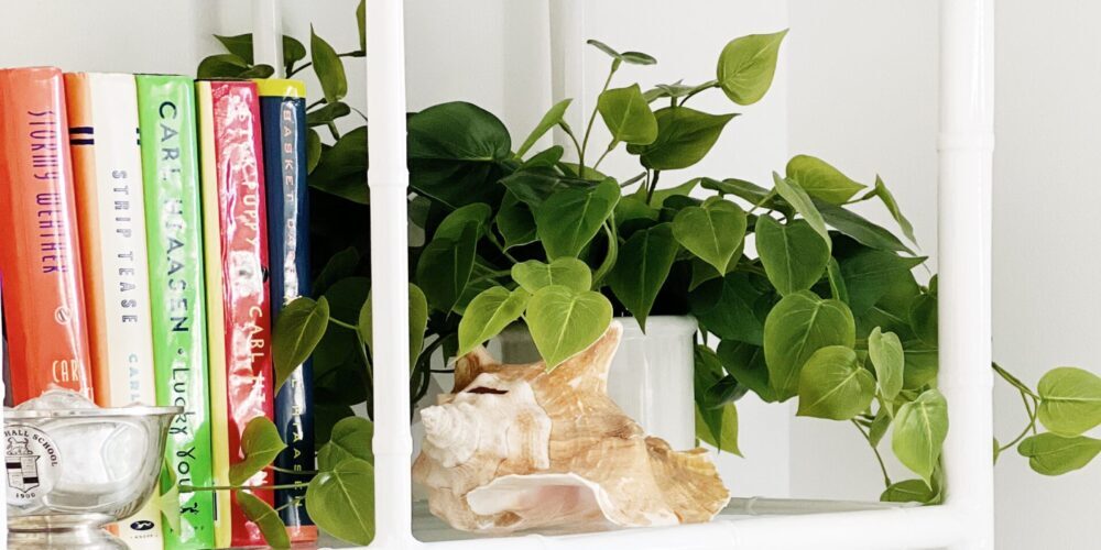 Do you want to freshen up your space but don't have a green thumb? Get a few of the most real looking faux plants and no one will know.